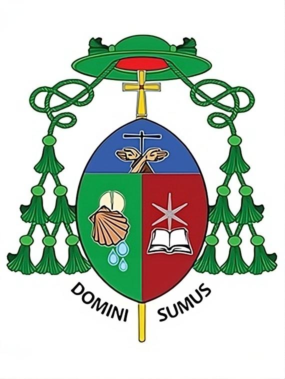 Dom Carlos Silva, OFMCap - Arquidiocese de São Paulo