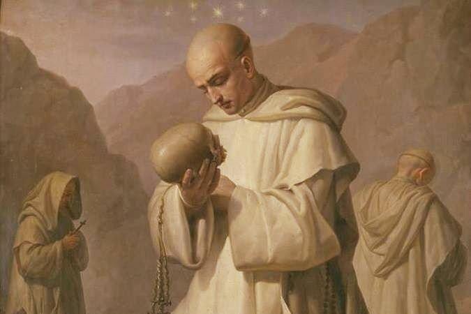 São Bruno - Arquidiocese de São Paulo