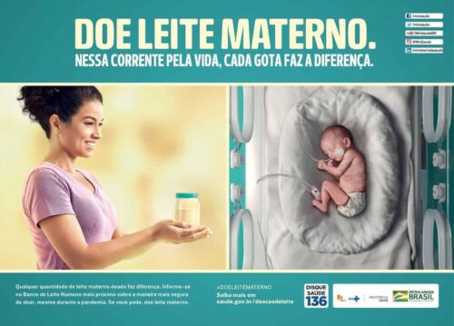 Doação leite e sangue scaled