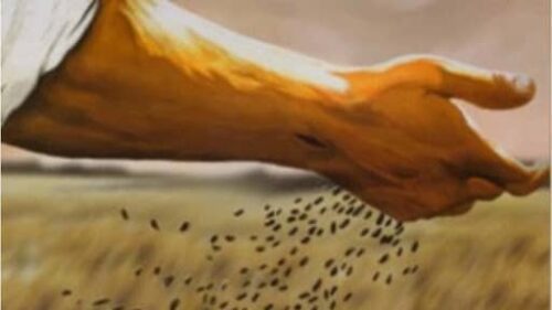 A semente caiu em terra boa