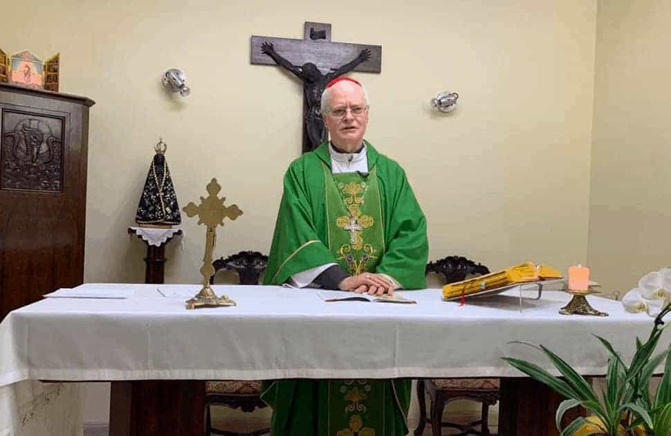 ‘Que nos tornemos terreno bom, fecundo e acolhedor da Palavra de Deus’ - Jornal O São Paulo