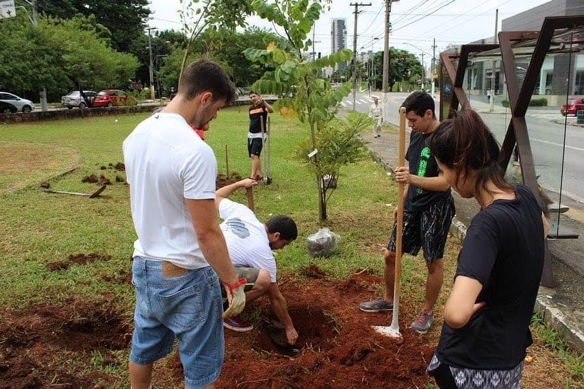 Em cada árvore, muitas vidas beneficiadas - Jornal O São Paulo