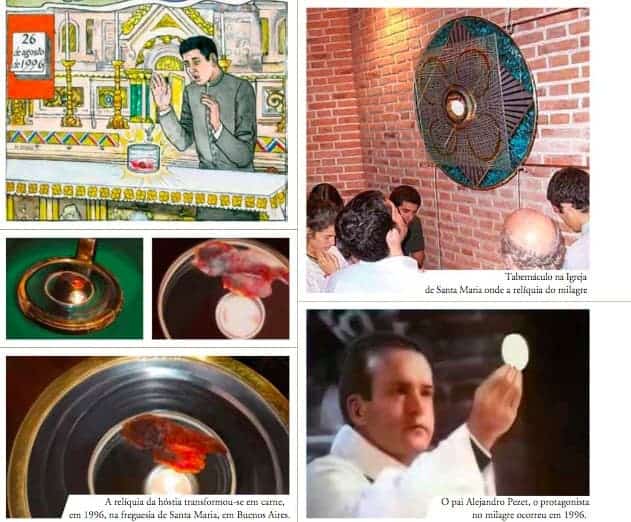 Pela internet, Carlo Acutis deu evidência a muitos milagres eucarísticos - Jornal O São Paulo