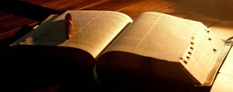 ‘Deus nos orienta, forma e educa com a sua Palavra’ - Jornal O São Paulo