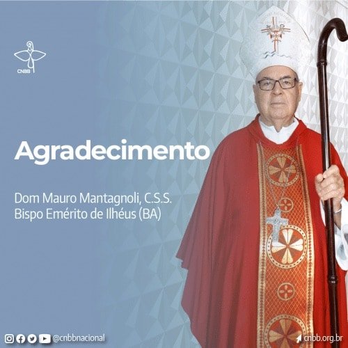 Papa Francisco acolhe pedido de renúncia de Dom Mauro Montagnoli e nomeia novo Bispo para Ilhéus (BA) - Jornal O São Paulo