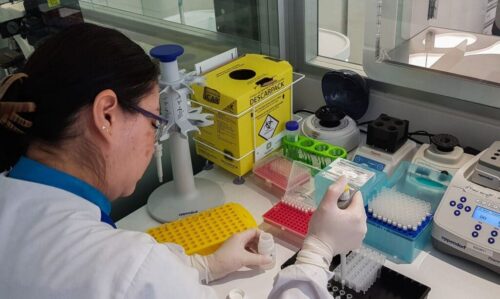 procedimento procedimento extracao do dna   scaled