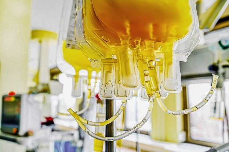 Médicos já usam plasma convalescente para tratar pacientes com Covid-19 - Jornal O São Paulo