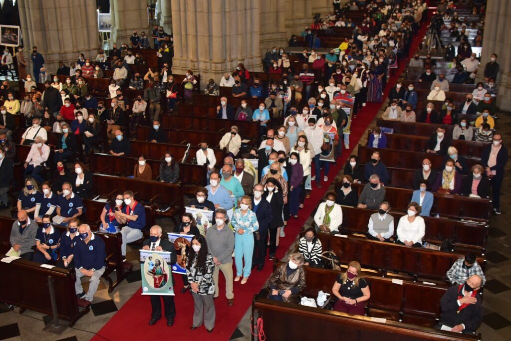 ‘O Sínodo é uma grande ação eclesial animada pelo Espírito Santo’ - Jornal O São Paulo