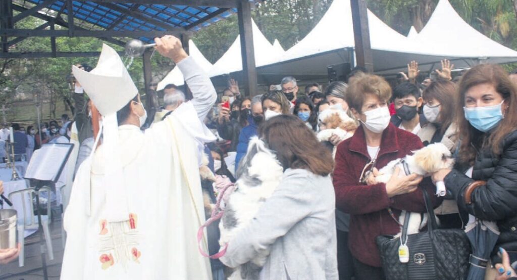 Missas e bênçãos a animais marcam a festa de São Francisco de Assis - Jornal O São Paulo