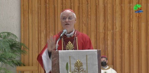 Assembleia Eclesial: reviver Aparecida 2007 diante dos clamores da América Latina e do Caribe - Jornal O São Paulo