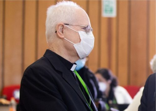 ‘A Assembleia Eclesial trouxe a percepção de uma Igreja viva, encarnada e atuante em nosso continente’