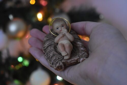 rastellimelina  cathopic