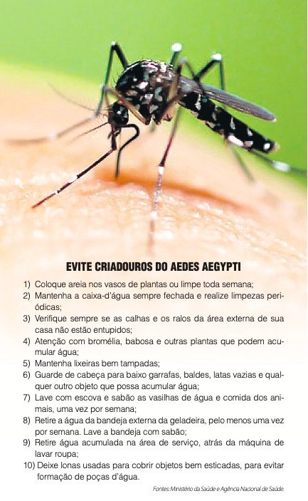 Hábitos individuais e coletivos são fundamentais para conter a dengue - Jornal O São Paulo