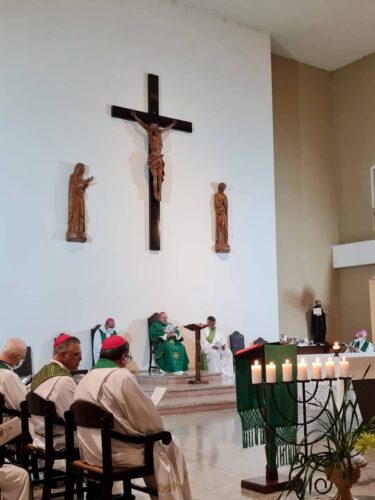 Em assembleia, bispos do Regional Sul 1 recordam os 15 anos da Conferência de Aparecida - Jornal O São Paulo