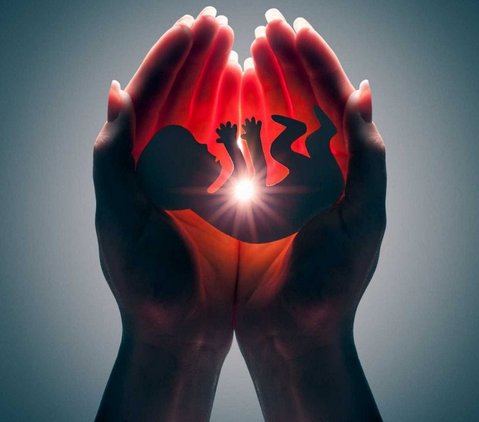 CNBB condena ‘todas e quaisquer iniciativas que pretendam justificar e impor o aborto no Brasil’ - Jornal O São Paulo