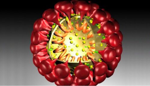 COVID-19: os chineses são tão vítimas como qualquer outro ser humano - Jornal O São Paulo