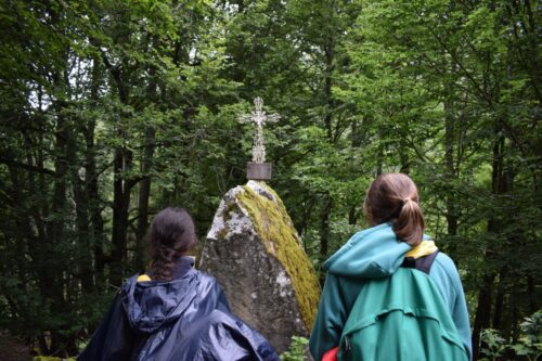 A nossa responsabilidade como cristãos para preservar a natureza - Jornal O São Paulo
