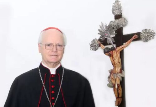 Talentos produzindo frutos - Jornal O São Paulo