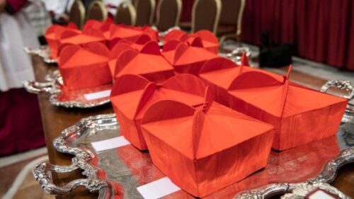 Papa anuncia a criação de 21 novos cardeais - Jornal O São Paulo