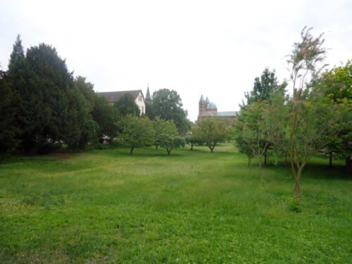 Edith Stein e a educação - Jornal O São Paulo