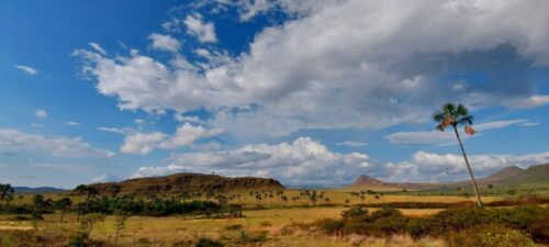 Quando a viola canta Deus e o sertão - Jornal O São Paulo