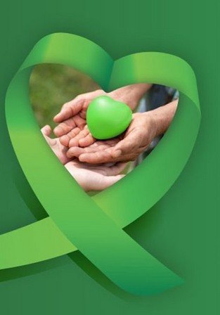 Setembro Verde: a doação de órgãos é um gesto de amor fraterno em favor da vida - Jornal O São Paulo