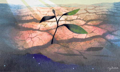 O tempo da morte e o tempo dos vivos - Jornal O São Paulo