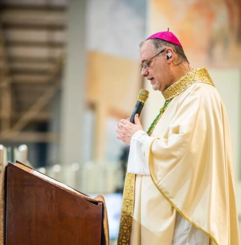 Diocese de Santo Amaro encerra ano pastoral com missa no Santuário Mãe de Deus - Jornal O São Paulo