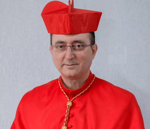 Papa nomeia o Cardeal Sergio da Rocha membro do Conselho dos Cardeais - Jornal O São Paulo