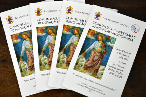 Do sínodo ao projeto pastoral - Jornal O São Paulo