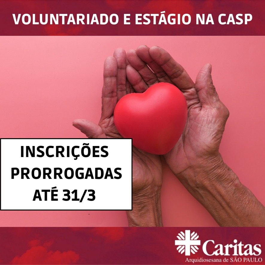 Caritas Arquidiocesana abre inscrições para trabalho voluntário e estágios - Jornal O São Paulo