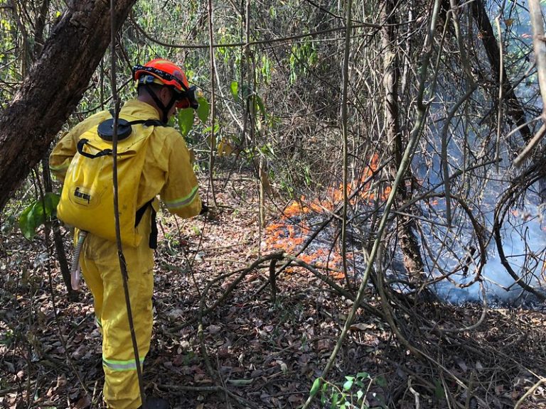 Soltura de balão agrava risco de incêndios florestais durante período de seca - Jornal O São Paulo