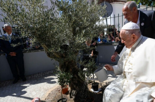 A mensagem do Papa à COP28: ‘Ouçamos os gemidos da terra e o grito dos pobres’ - Jornal O São Paulo