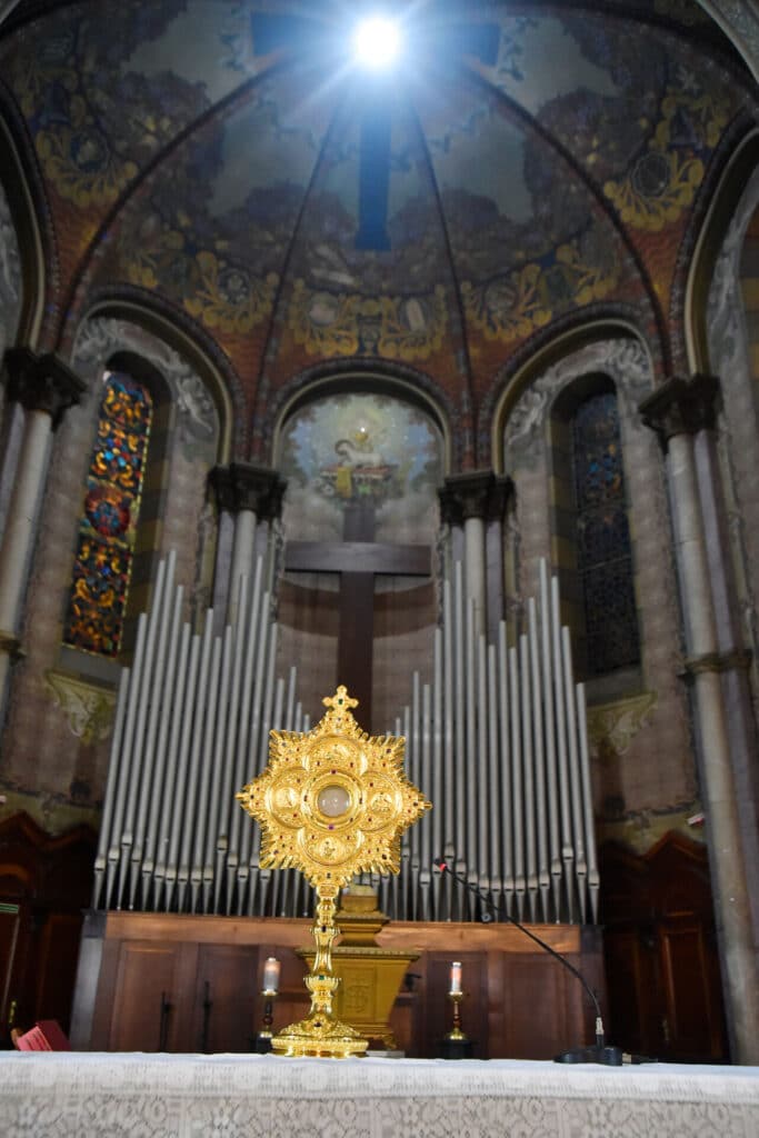 Santa Ifigênia: paróquia histórica para devoção eucarística na cidade tem novo pároco - Jornal O São Paulo