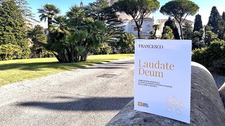 Em novo documento, Papa reforça a responsabilidade humana no agravamento da crise climática - Jornal O São Paulo