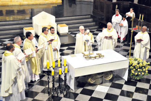 Ano Vocacional renova a consciência sobre o chamado de Deus para a santidade e para a missão - Jornal O São Paulo