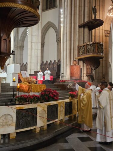 ‘Ele se fez pequenino para que todos se sentissem muito à vontade de se aproximar Dele’ - Jornal O São Paulo