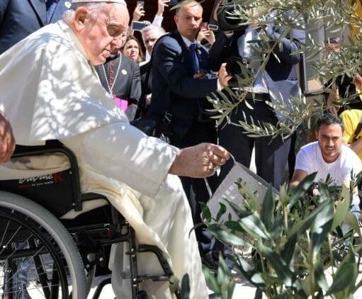 ‘Ecologia Integral’: o que significa o tema da Campanha da Fraternidade deste ano?  - Jornal O São Paulo