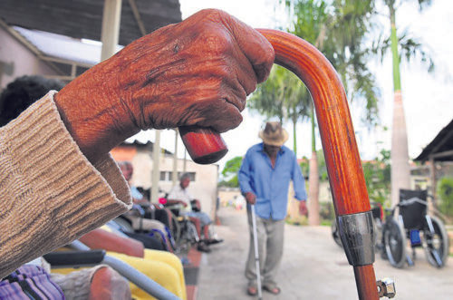 ‘Ainda há invisibilidade dos idosos na sociedade’ - Jornal O São Paulo
