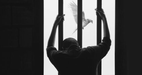 CNBB publica nota sobre as saídas temporárias de pessoas privadas de liberdade - Jornal O São Paulo