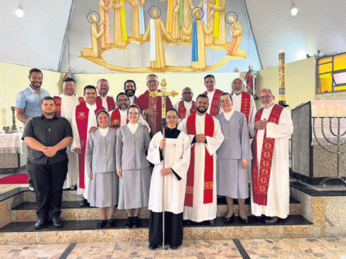 Múltiplas ações envolvem leigos, religiosas e sacerdotes na Brasilândia - Jornal O São Paulo