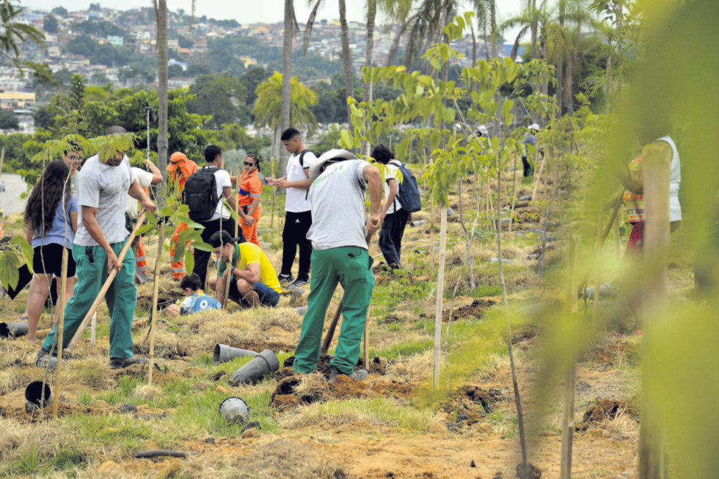 Ver-ouvir, iluminar-discernir e agir-propor a Ecologia Integral - Jornal O São Paulo
