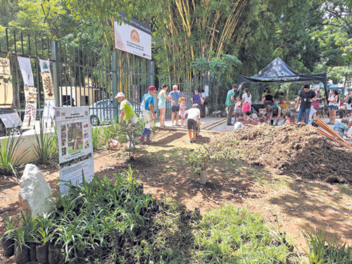 Cidadania e cuidado ambiental: a experiência dos plantios coletivos - Jornal O São Paulo