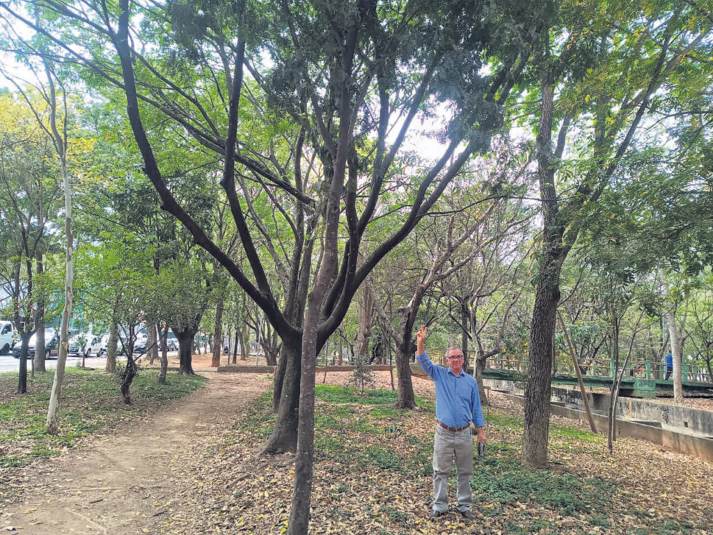 Hélio: o ‘plantador de árvores’ que revitalizou o Parque Linear Tiquatira - Jornal O São Paulo