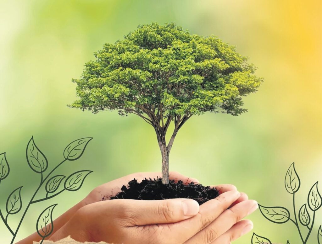 Junho Verde: Um chamado ao compromisso com a ecologia integral - Jornal O São Paulo