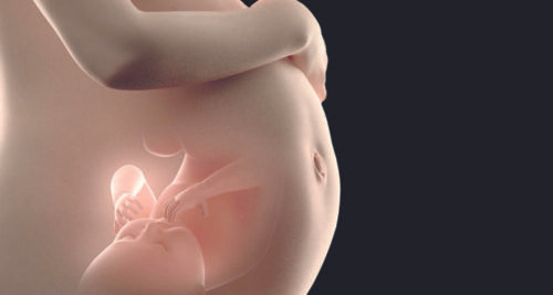 Não ao aborto. Sim à defesa da vida da mulher e do bebê - Jornal O São Paulo