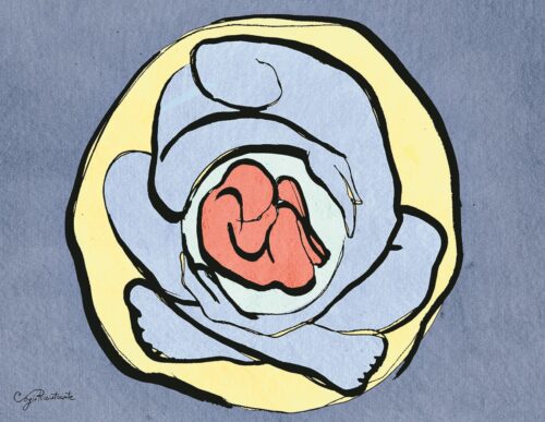 O aborto e o PL 1904/2024 - Jornal O São Paulo