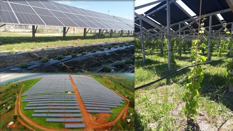 O Vaticano se equipará com um sistema agrovoltaico para autonomia energética - Jornal O São Paulo