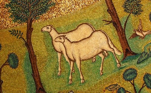 Ovelhas sem pastor - Jornal O São Paulo