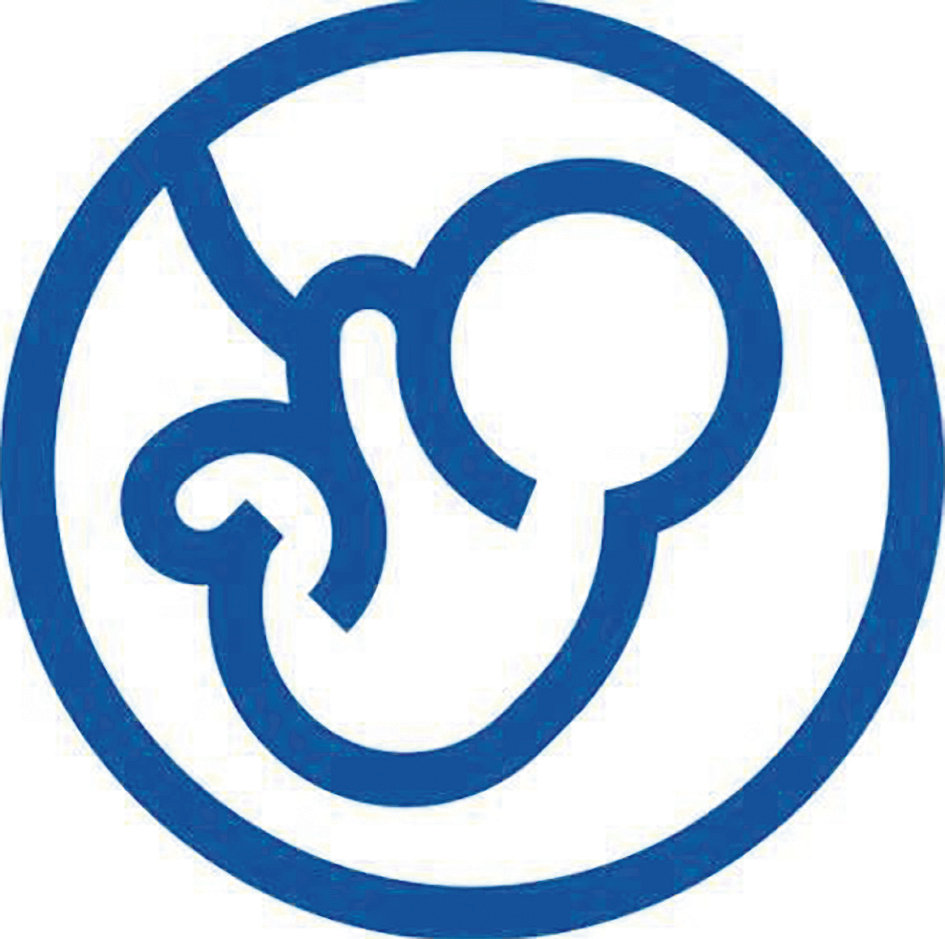 ‘Salvemos as duas vidas’ por meio da oração, ação e convites à reflexão - Jornal O São Paulo